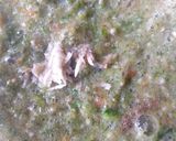 A picture of step 3 of Okro soup 1.