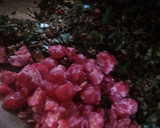 પાન મુખવાસ (Paan Mukhwas Recipe In Gujarati) રેસીપી સ્ટેપ4ફોટો