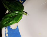 Foto del paso 4 de la receta: Arroz Con Camarones