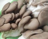 Foto del passaggio 1 della ricetta Spiedini di funghi pleurotus arrosto
