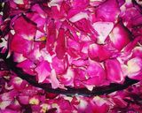 A picture of step 3 of Gulkand (made at home with rose petals).