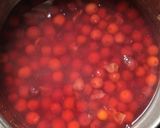 A picture of step 1 of Phalsa chutney.