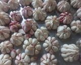 عکس مرحله 1 از دستور سیر ترشی خانگی