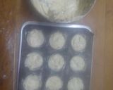 Foto del paso 6 de la receta: Garibaldi