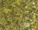 Foto del paso 8 de la receta: Verdolaga con cerdo en salsa verde