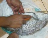 A picture of step 1 of Restaurant style grilled fish with special masala.