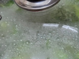 Repollitos o coles de Bruselas con vinagreta de miel y jengibre fermentados 🫚🍯🥦(tips de cocción 😉)