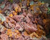 Foto del paso 4 de la receta: Fideos con Salsa de Carne y Longaniza