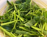 Hình bước làm 1 của món Mực Xào Chao Rau Muống