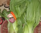 Foto langkah ke 1 dari resep Tumis Sawi Cendok.