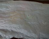 Foto langkah ke 5 dari resep Bakpao Karakter Lembut 1 X Proofing.