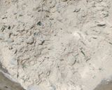 A picture of step 2 of Thepla.