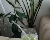 عکس مرحله 1 از دستور اسموتی کلروفیل