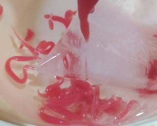 Cendol Rosella Merah Putih - Step 2