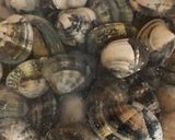 Foto del paso 1 de la receta: Almejas a la marinera