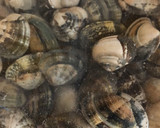 Foto del paso 1 de la receta: Almejas a la marinera