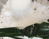 Foto langkah ke 4 dari resep Kue Pisang Rai.