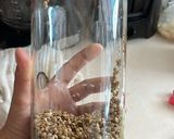 Foto del paso 7 de la receta: Germinados 🌱 lentejas orgánicos
