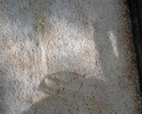 Foto del paso 5 de la receta: Torta de polenta y coco