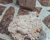 Foto del paso 3 de la receta: Masa de wraps integrales