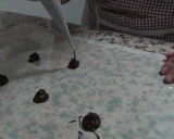 Foto del paso 12 de la receta: Tarta mousse de turrón