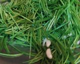 A picture of step 2 of Quick Stir-Fried Garlic Water Spinach.