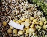 A picture of step 3 of Ganesh Chaturthi Special Thali.