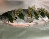 Une image de l'étape 6 de Saumon sauvage en papillote à l ail mariné et herbes aromatiques.