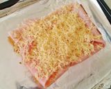 Foto del paso 7 de la receta Tosta ligera de york y edam fundido