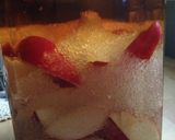 釀果醋》甜桃果醋作法的食譜步驟6照片