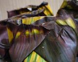 Foto langkah ke 4 dari resep Steamed Cumi.