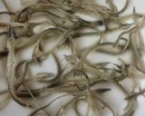 Foto del paso 1 de la receta: Espinas crujientes de pescado