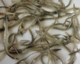 Foto del paso 1 de la receta: Espinas crujientes de pescado