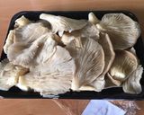 Foto del paso 1 de la receta 11. Setas guisadas