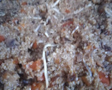 Foto del paso 3 de la receta: Quinoa mar y montaña