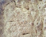Foto del paso 5 de la receta: Pudín 3 Leches