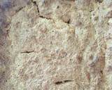 Foto del paso 5 de la receta: Pudín 3 Leches