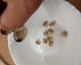 Foto del paso 3 de la receta: Lomos de merluza con almejas (económica)