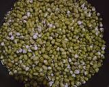 Foto langkah ke 1 dari resep Bubur Kacang Hijau.