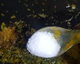 A picture of step 8 of Tomato Chutney.