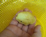 عکس مرحله 9 از دستور بژی کرمانشاهی (مراحل کامل)