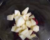 Fruit mint lemonade recipe step 1 photo