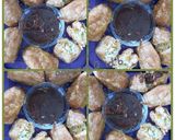 Foto langkah ke 3 dari resep Tahu brontakQ "sayur tanpa osenk" cepet!.