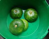 Foto del paso 3 de la receta: Zapallitos rellenos