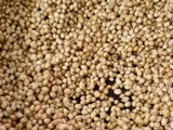 Goda masala