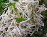 Foto langkah ke 2 dari resep Anyang Pakis.