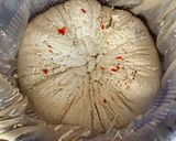 Tofu/ Awara/ kwai da kwaimatakin girki8 hoto