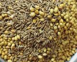 A picture of step 1 of Garam masala.
