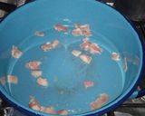 Foto del paso 3 de la receta: Sopa cultivateur de un estudiante