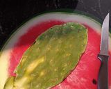 Foto del paso 1 de la receta: Ensalada de Nopales